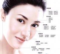 2017�u���_�\(y��n)��������Щ��